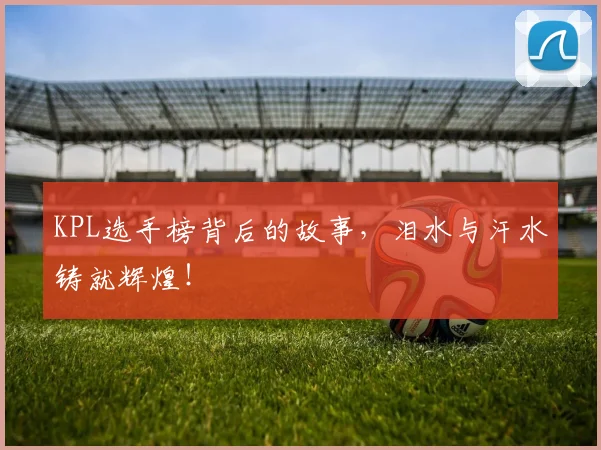 KPL选手榜背后的故事,泪水与汗水铸就辉煌!