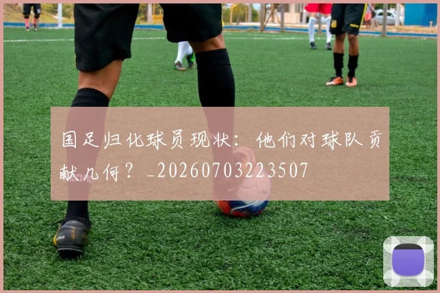 国足归化球员现状:他们对球队贡献几何?_20260703223507