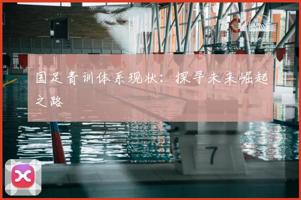 国足青训体系现状：探寻未来崛起之路